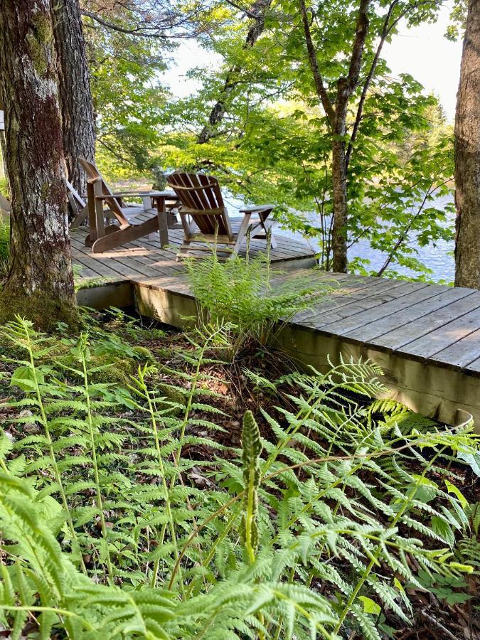 Bear Cabin - Forest Retreat Nearby Lake - Not On Waterfront East Kemptville Exterior foto